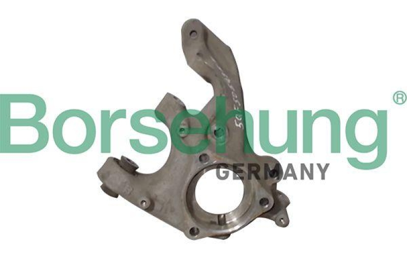 Bild von Borsehung B12114 Achsschenkel Radträger, Radlagergehäuse, Achsschenkel, Radaufhängung Hinterachse links VOLKSWAGEN: Tiguan II
