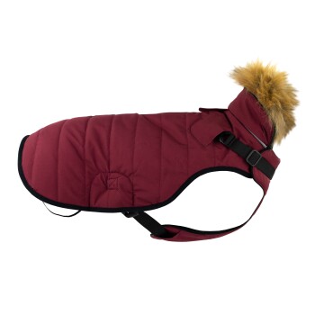 Bild von Jeggo Hundemantel Helsinki 32 cm