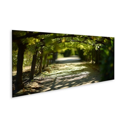 Bild von islandburner Leinwandbild Sonnengeküsster Pfad - 120x40cm Panorama