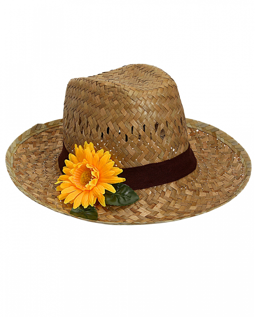 Bild von Farmers Hut mit Sonnenblume
