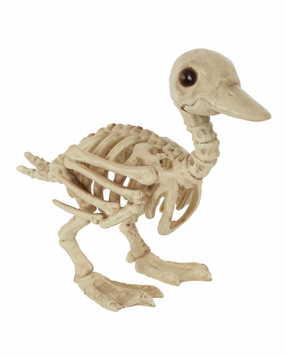 Bild von Horror-Shop Dekoobjekt Skelett Baby Ente als Deko 19cm