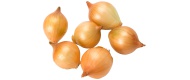 Bild von Mini-Zwiebeln, gelb (1 kg)