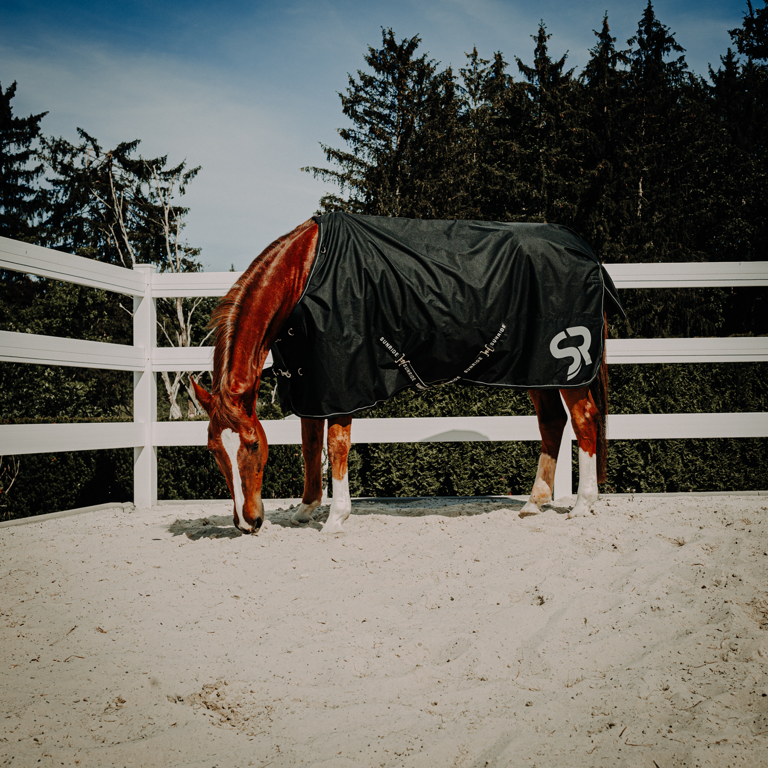 Bild von Sunride Regendecke Dublin