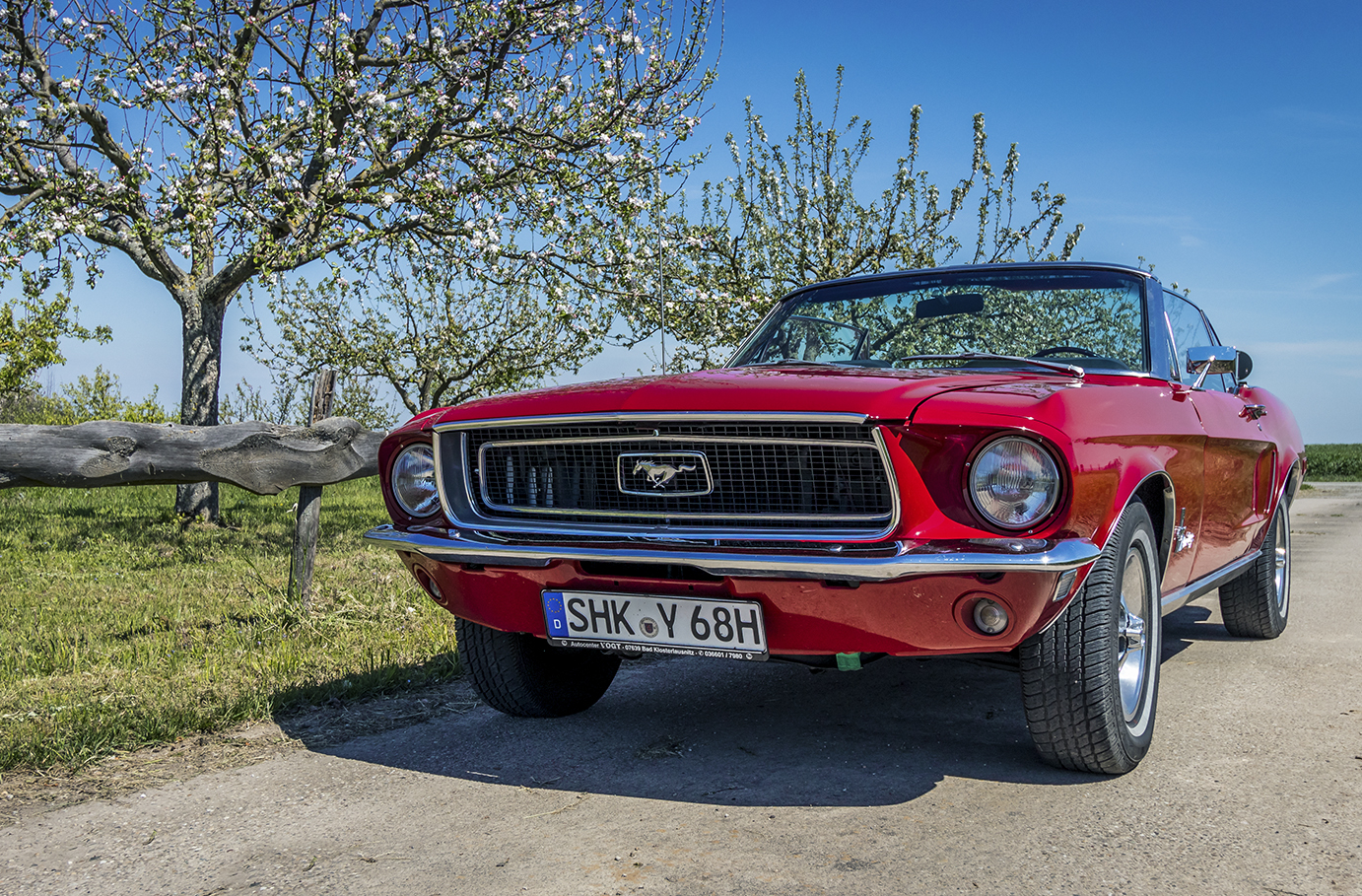 Bild von Ford Mustang Oldtimer mieten (2 Std.)