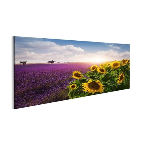 Bild von Islandburner Leinwandbild Lavendel und Sonnenblumenfelder