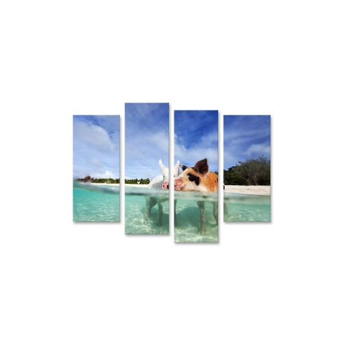 Bild von Islandburner Leinwandbild - Schwimmende Schweine der Bahamas