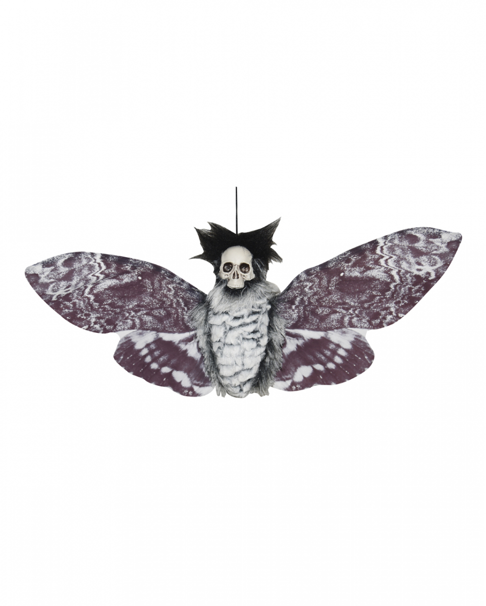 Bild von Horror-Shop Dekoobjekt Haarige Motte mit Totenkopf Hängefigur 55cm
