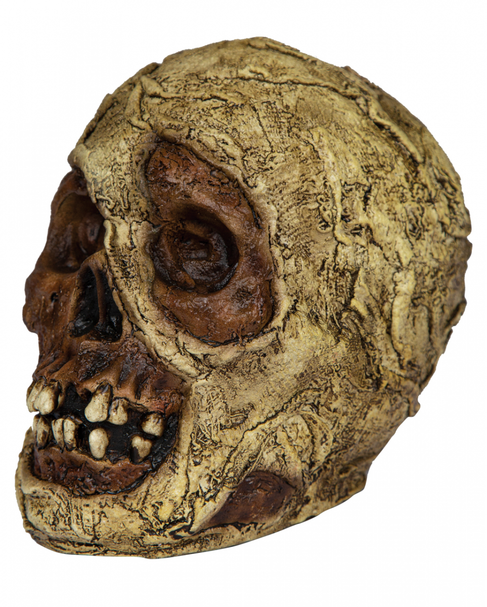 Bild von Horror-Shop Dekoobjekt Verrotteter Mumien Totenkopf aus Latex 18cm
