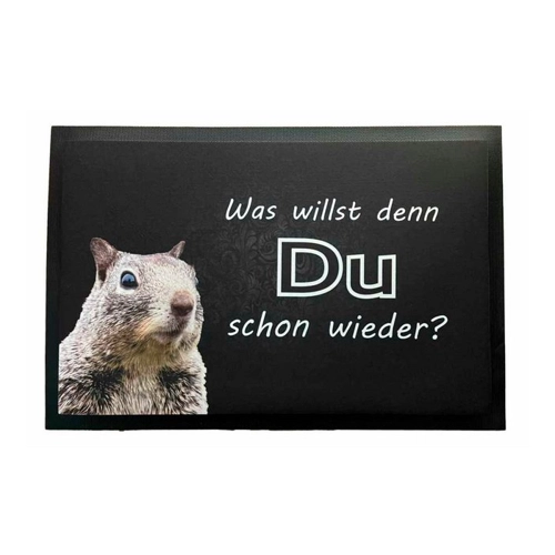 Bild von Ladreas Fußmatte Schmutzfangmatte rutschfest Du schon wieder F053, 60x40