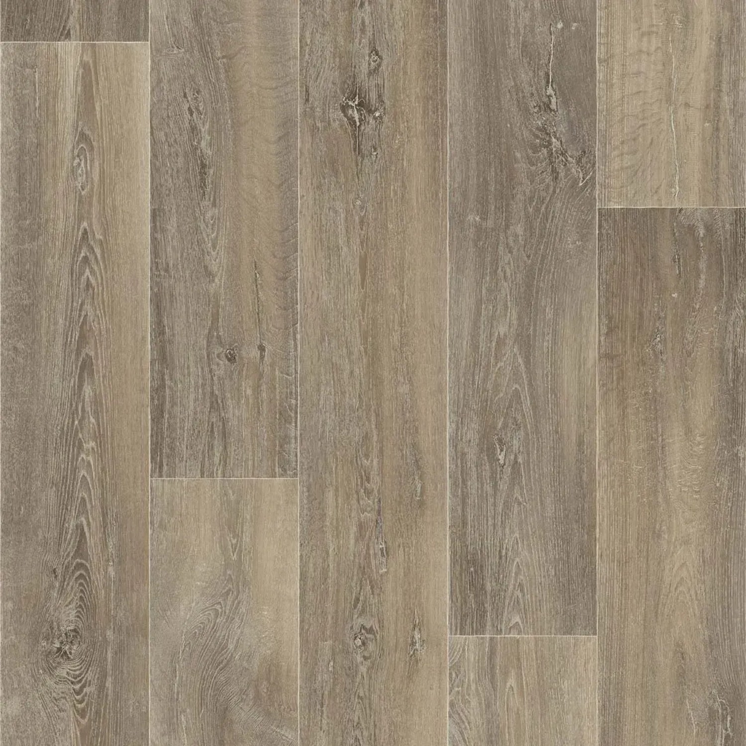 Bild von BRICOFLOR CV Belag Holzoptik Rustikal Vinyl Bodenbelag Meterware Eiche PVC Boden 200cm x 100cm