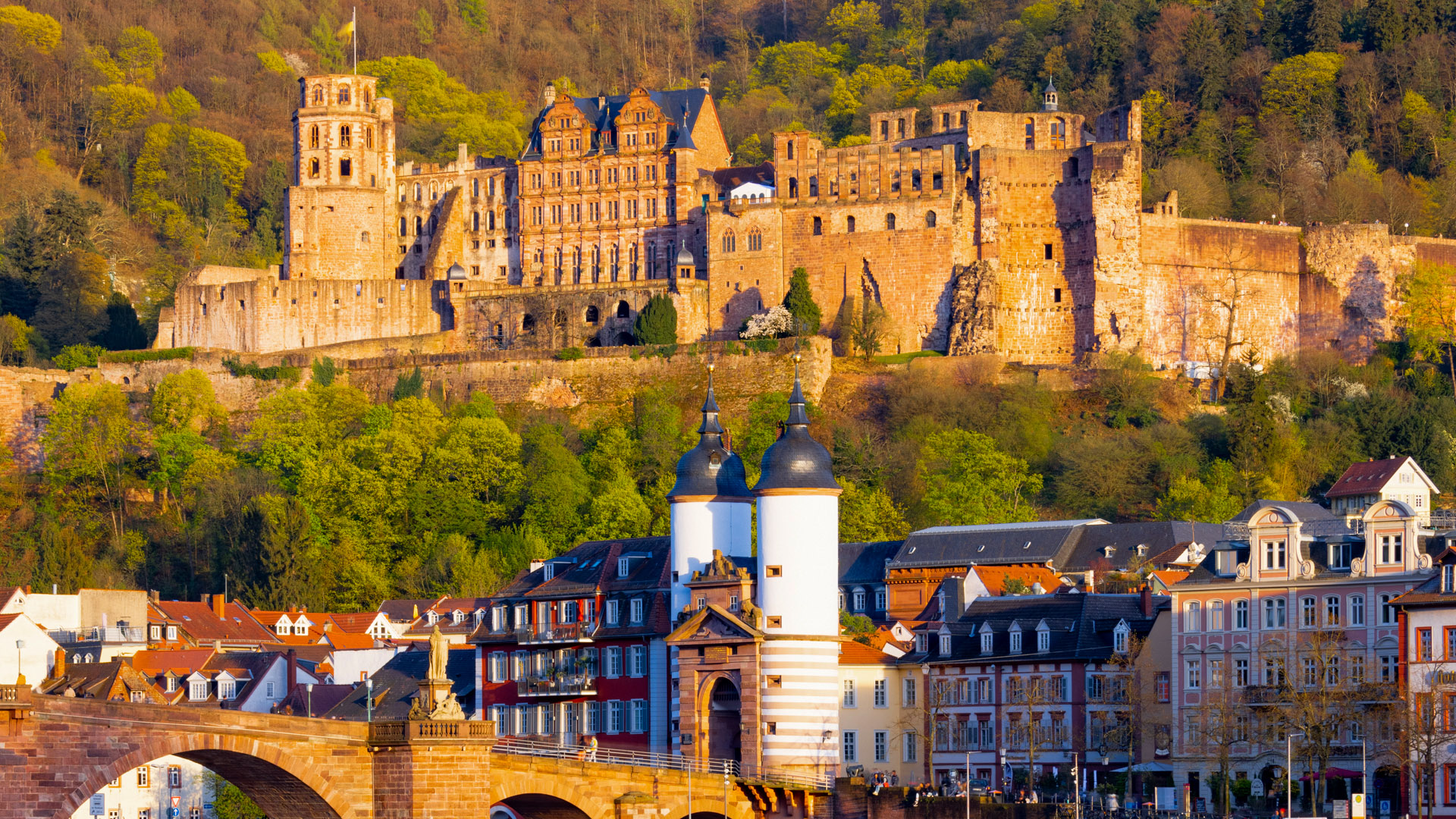 Bild von Foto Walk Heidelberg (Sunset)