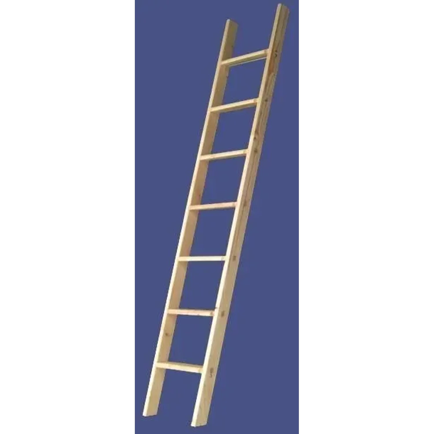 Bild von PROREGAL Stufenanlegeleiter Esche Natur Made in Germany 11 Stufen 3 m Länge Ohne Traverse Esche Braun Holzleiter