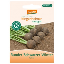 Bild von Bingenheimer Saatgut - Rettich runder schwarzer Winter