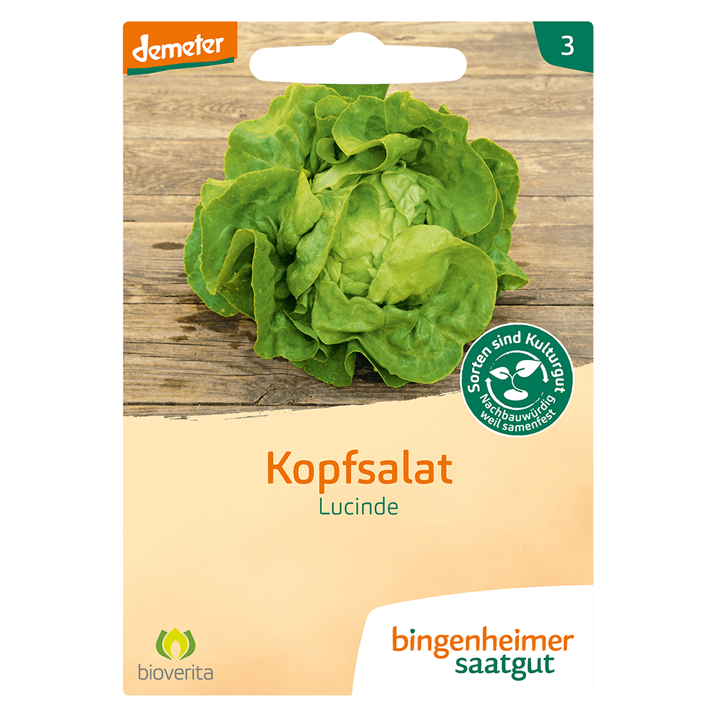 Bild von Bingenheimer Kopfsalat Lucinde, Freiland-Kopfsalat für den ganzjährigen Freilandanbau, Bio, 1 Portionstüte