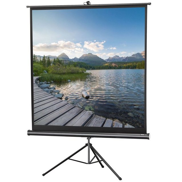 Bild von Celexon Stativ Economy 1090017 Stativleinwand 219 x 219cm Bildformat: 1:1