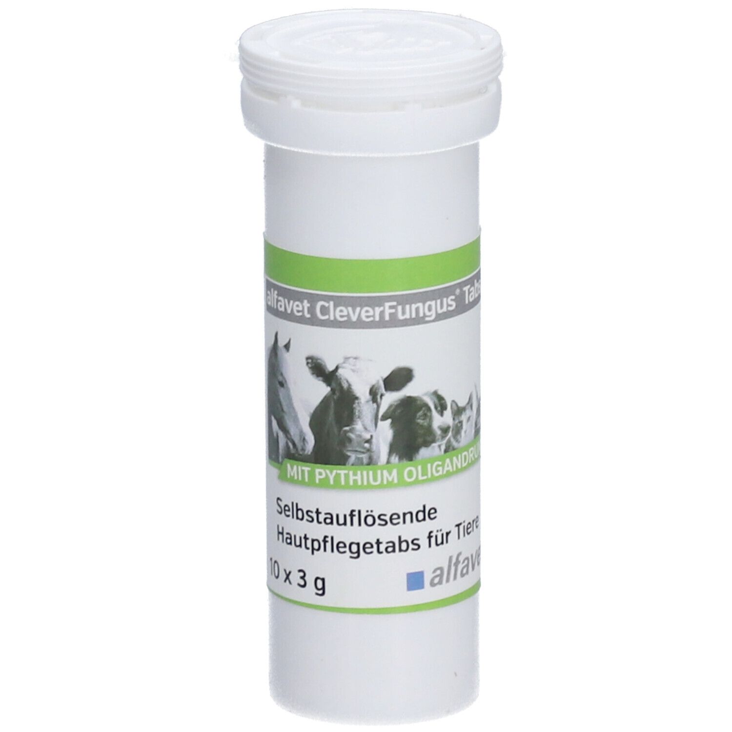 Bild von alfavet CleverFungus® Tabs