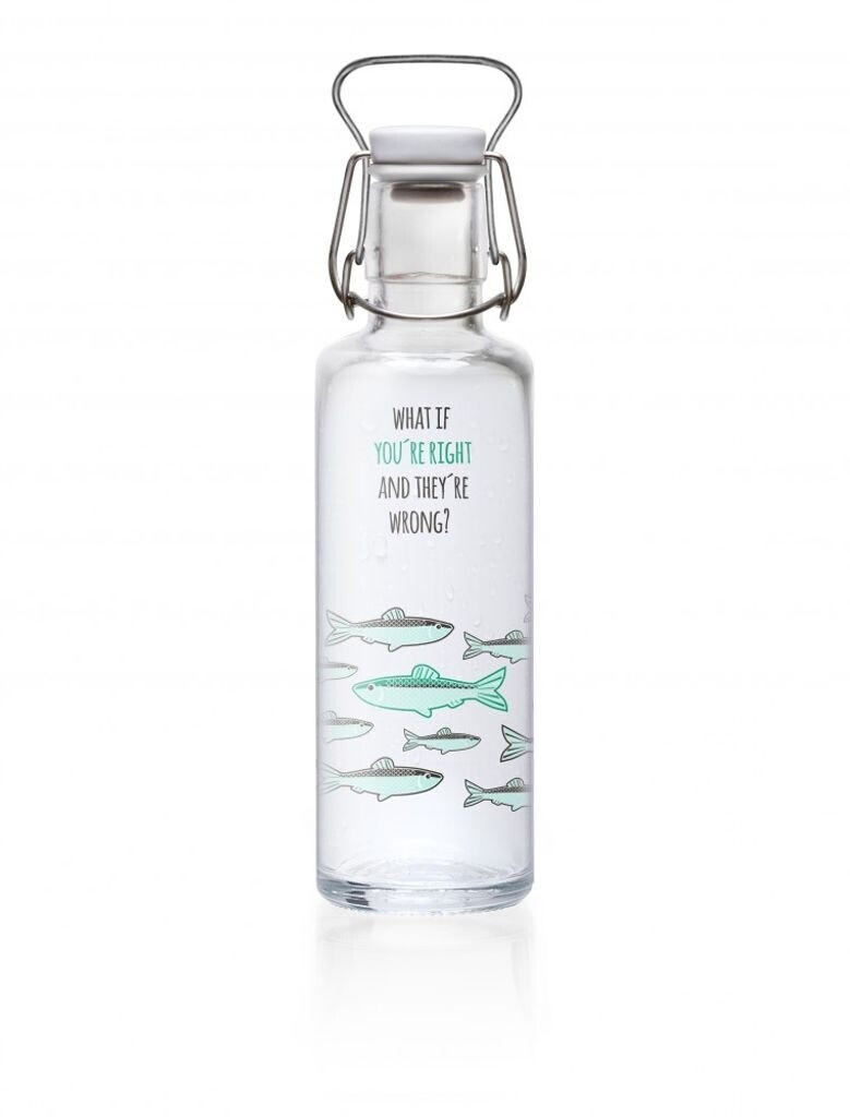 Bild von soulbottles 0,6l • You're right • Trinkflasche aus Glas • vegan, plastikfrei, nachhaltig