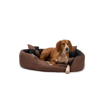 Bild von Lionto 4-in-1 Hundebett M