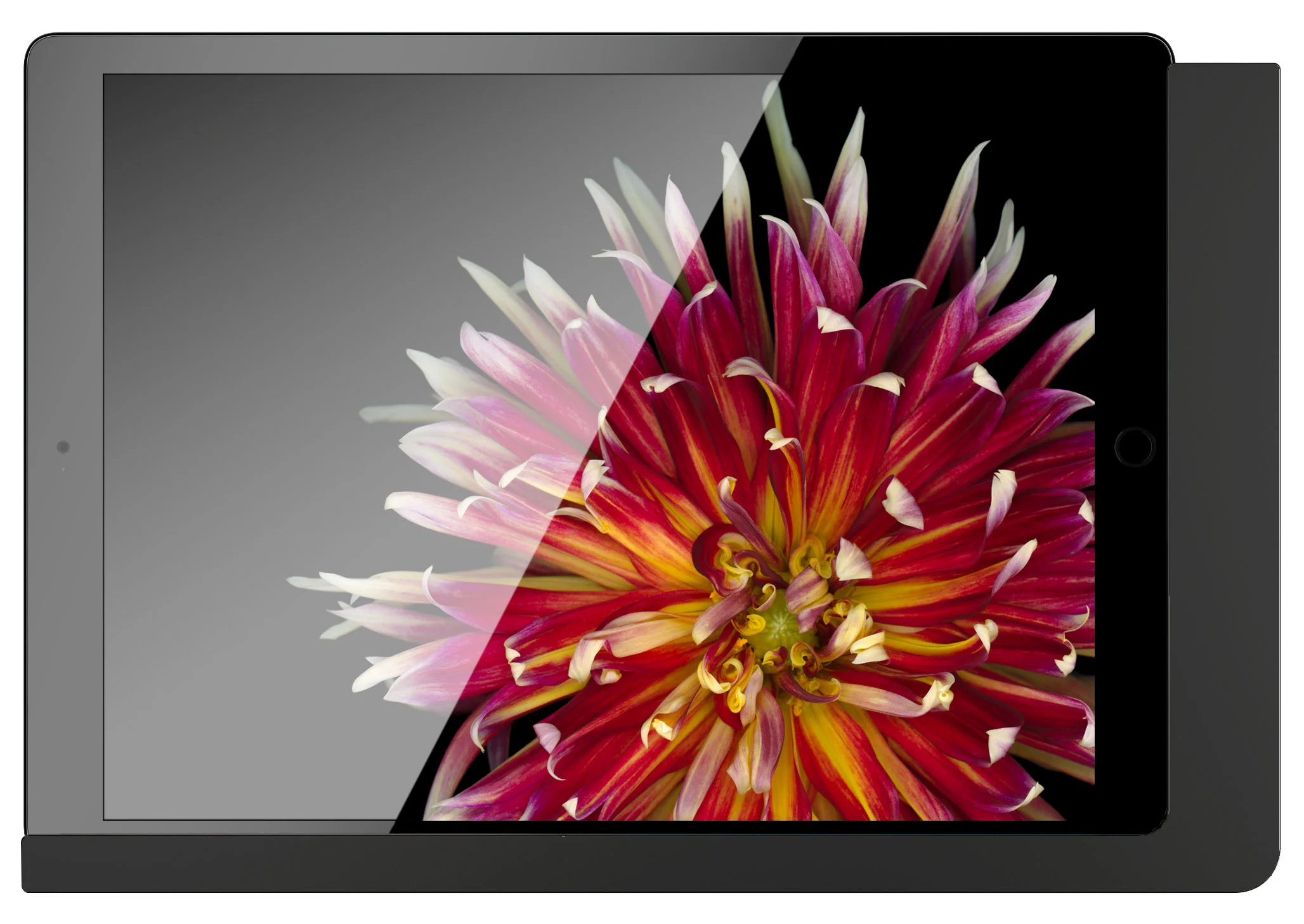 Bild von Viveroo free - iPad Wandhalterung