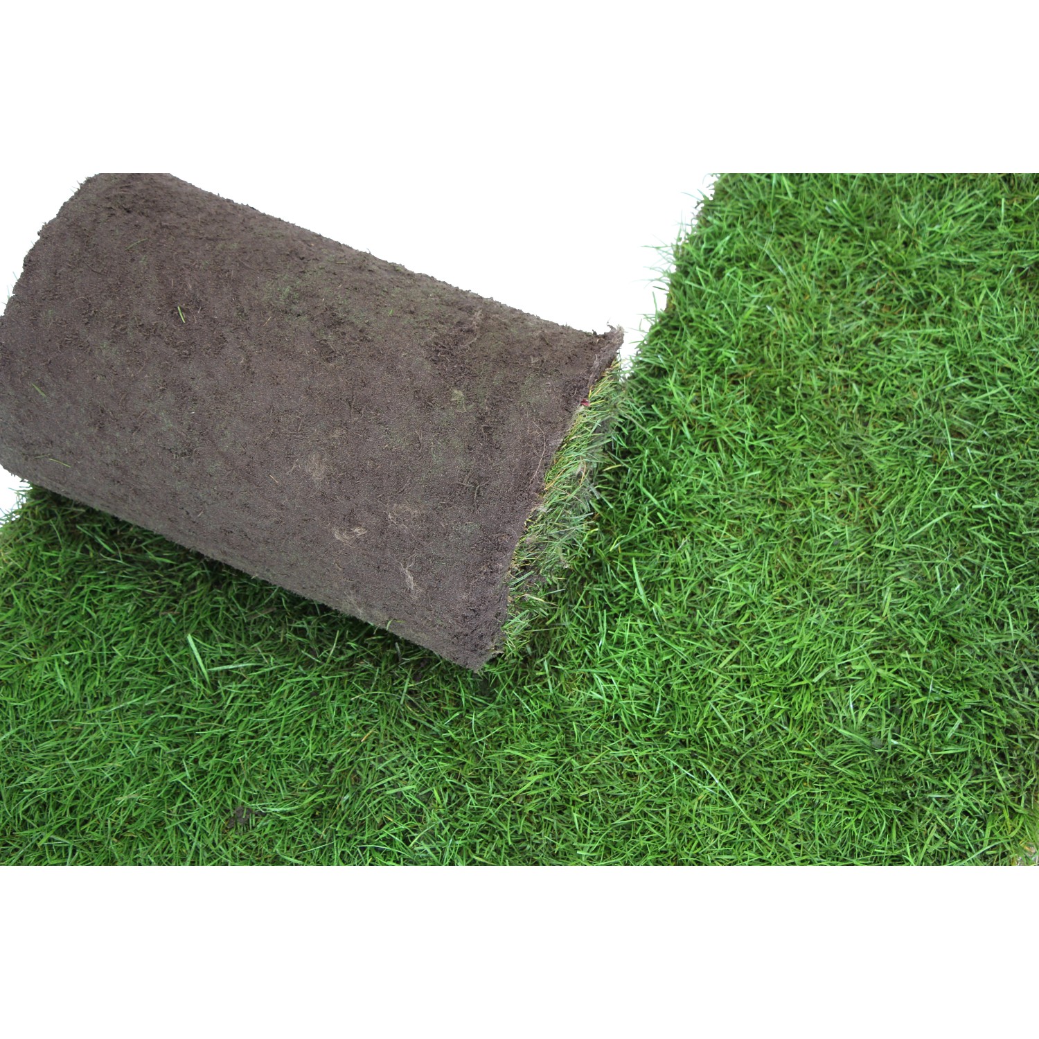 Bild von Premium-Rollrasen je m² Bestellmenge ab 100 m²