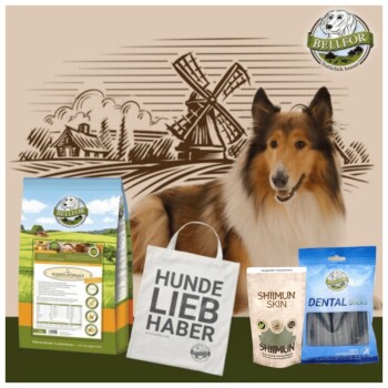 Bild von Bellfor Collie Futter Set für Hunde