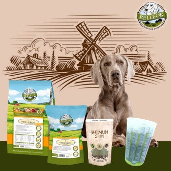 Bild von Bellfor Weimaraner Futter Set für Hunde