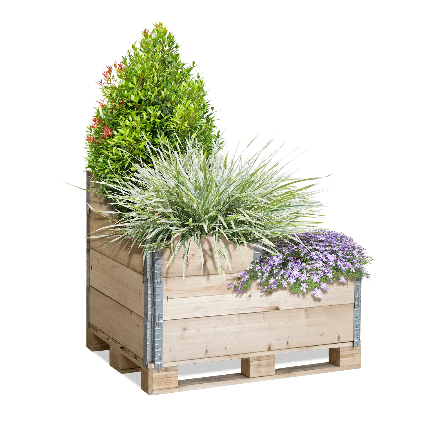 Bild von Galamio Paletten Hochbeet » Gartenparadies « 1Stk