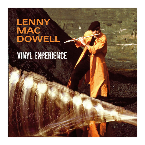 Bild von Vinyl Experience [Vinyl LP]