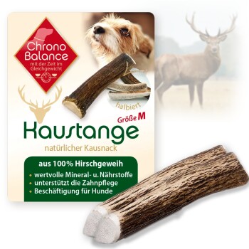 Bild von ChronoBalance Rothirsch Geweihstange für Hunde (halbierte Stücke)
