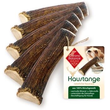 Bild von ChronoBalance Rothirsch Geweihstange für Hunde (halbierte Stücke)