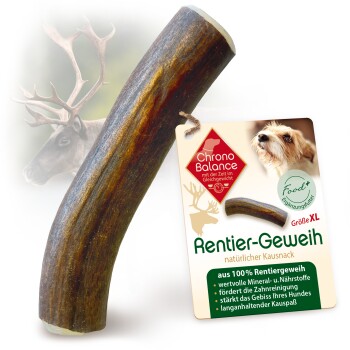 Bild von ChronoBalance Rentier Geweih Snack für Hunde