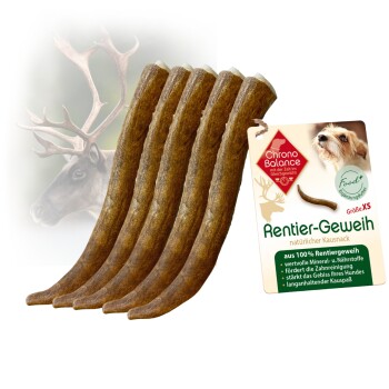 Bild von ChronoBalance Rentier Geweih Snack für Hunde