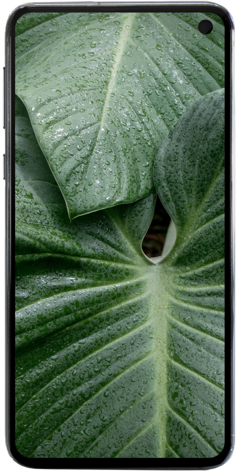 Bild von Samsung Galaxy S10e 128GB Schwarz (Single-SIM) Premium Refurbished
