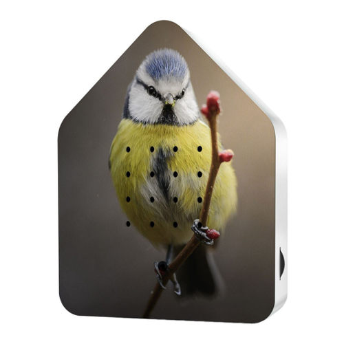Bild von Relaxound Zwitscherbox Klassik Blue Tit (11ZBX0301019)