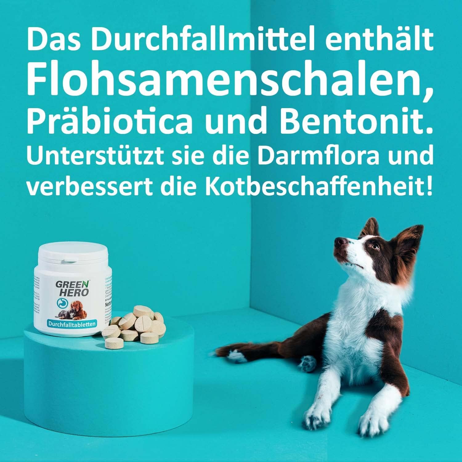 Bild von Green Hero Durchfalltabletten, 60 Kautabletten, für Hund und Katze zur Linderung von Durchfall, Magen und Verdauungsbeschwerden, Tabletten zur Verbesserung der Kotbeschaffenheit, enthält Präbiotica