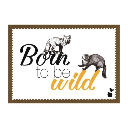 Bild von Postkarte "Born to be wild"