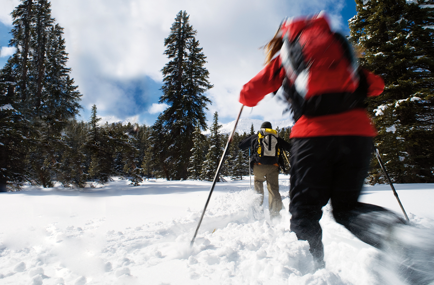 Bild von Kurzurlaub mit Schneeschuhwanderung in Tirol für 2