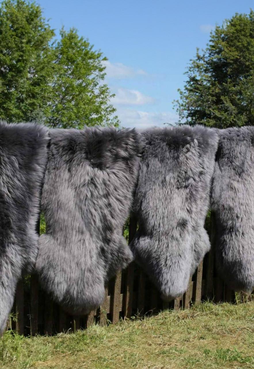 Bild von Lambskin - in Colors of Black & Grey Farbe: Grau | Größe: 100-110