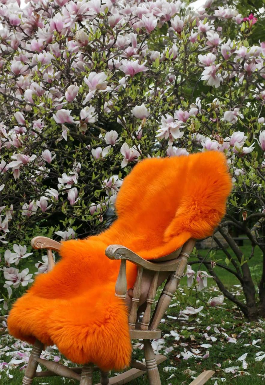 Bild von Lambskin Merino - ORANGE Größe: 150-160 | Farbe: Orange