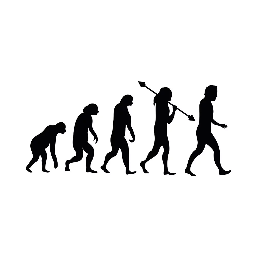 Bild von Human Evolution