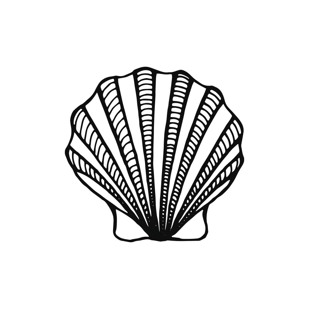 Bild von Pearl Seashell