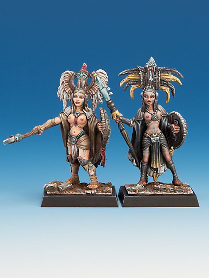 Bild von Freebooter's Fate - Tempelwächterinnen Set1- Amazonen Freebooter Miniatur AMA013