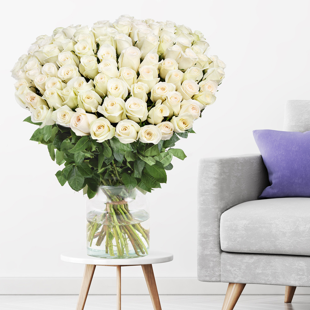 Bild von 100 Weiße Rosen - Premium-Rosen Avalanche (60cm)