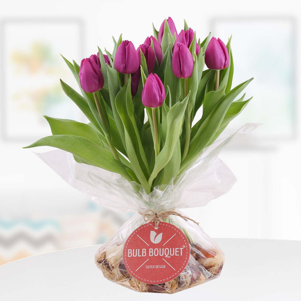 Bild von Bulb Bouquet Lila - Tulpenstrauß mit Zwiebeln