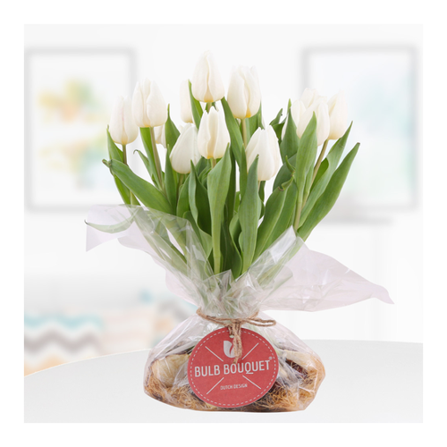 Bild von Bulb Bouquet Weiß - Ein Tulpenstrauß mit Zwiebeln für jede Gelegenheit