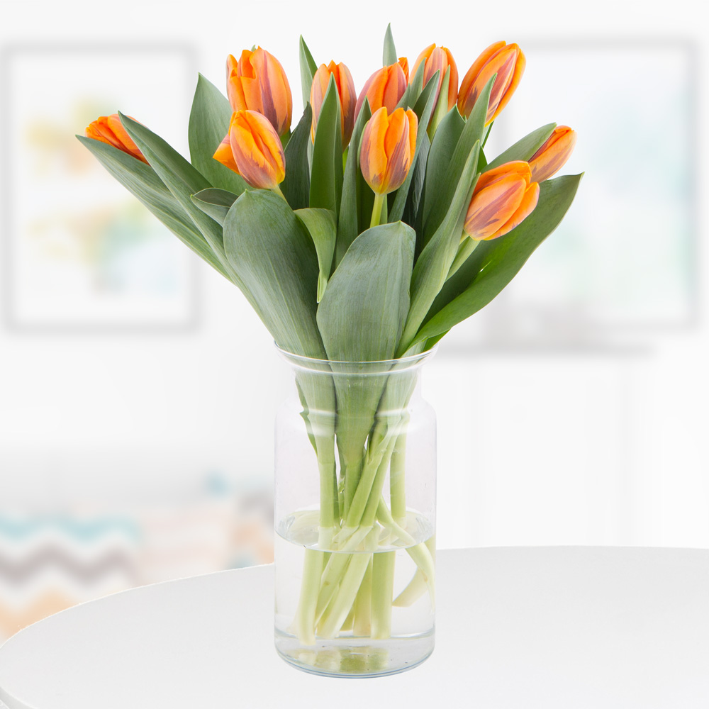 Bild von 10 Orange Tulpen