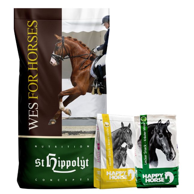 Bild von St. Hippolyt WES for Horses - Basic Crunch 25 kg & Lobs Belohnungswürfel 2 x 1 kg geschenkt