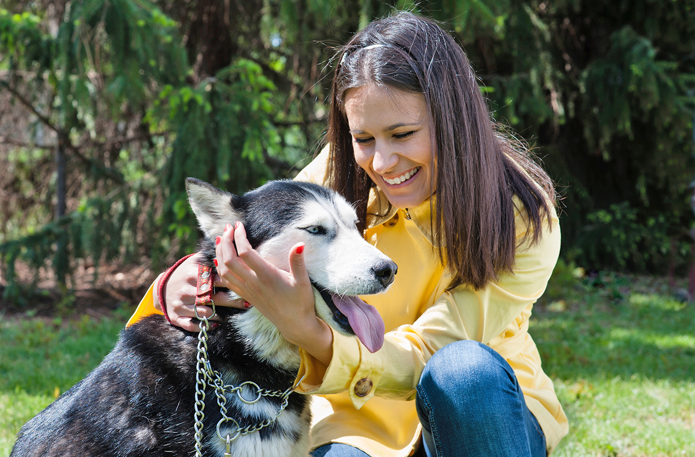 Bild von Husky Erlebnistag
