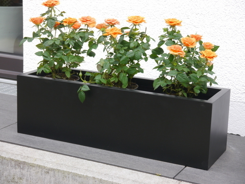 Bild von Pflanztrog SUPREMO, schwarz 80x18x18