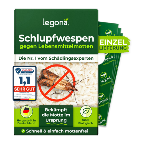 Bild von Biologische Schlupfwespen gegen Lebensmittelmotten